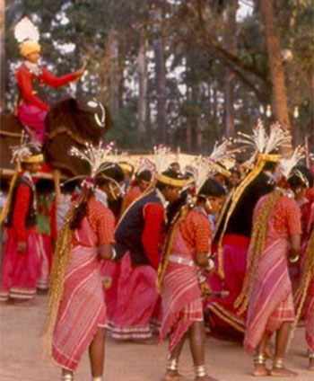 Chaita-paraba-tribal-odisha